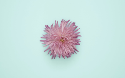 Hoe moeten jongeren hun auto verzekeren?