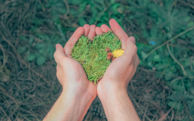 Wat is een groene autoverzekering?